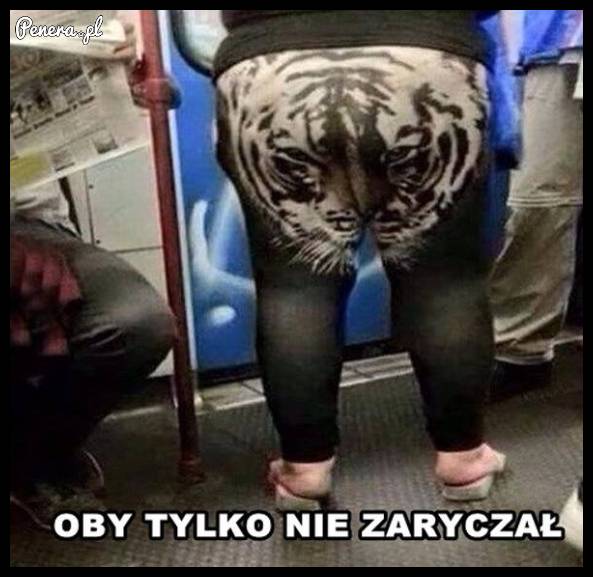 Oby tylko nie zaryczał!