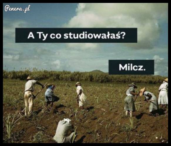 Pewnie turystykę i rekreację