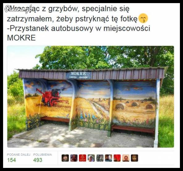 Przystanek autobusowy w miejscowości Mokre