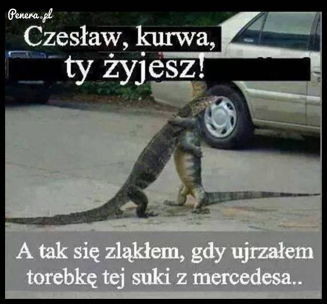Czesław Ty żyjesz!