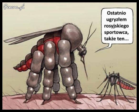 Gdy komar ugryzie rosyjskiego sportowca