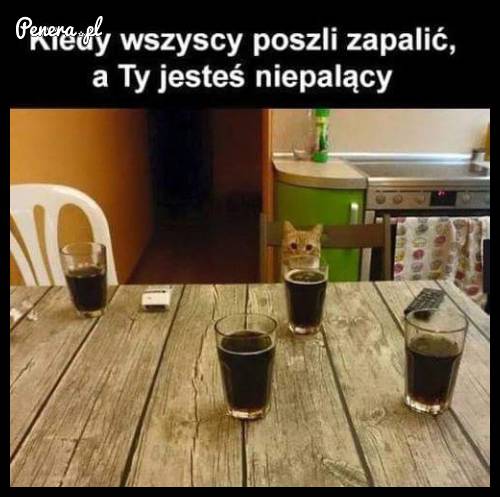 Gdy wszyscy poszli zajarać