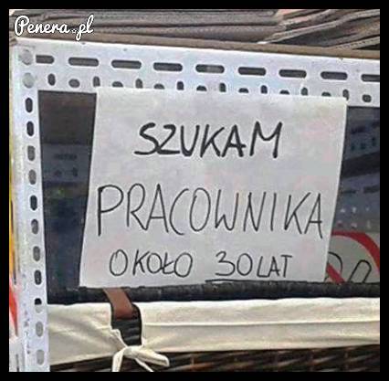 Gość musi być bardzo wytrwały