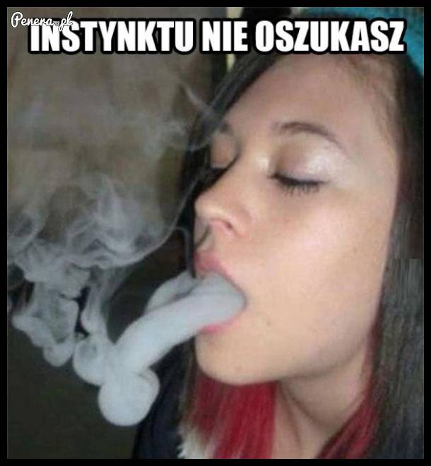 Instynktu nie oszukasz