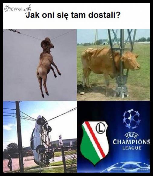 Jak oni się tam znaleźli?! :D