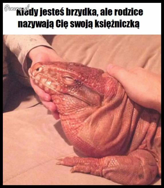Kiedy jesteś brzydka