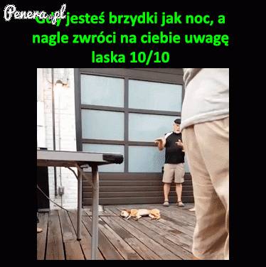 Kiedy jesteś brzydki jak noc