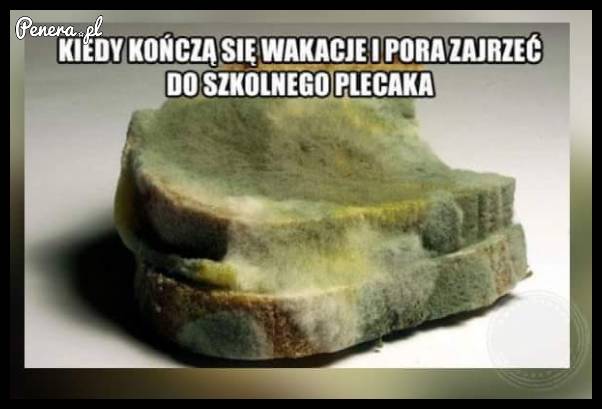 Kiedy kończą się wakacje i pora zajrzeć do szkolnego plecaka