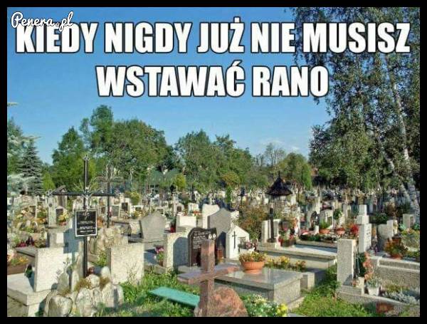 Kiedy nigdy już nie musisz wstawać rano