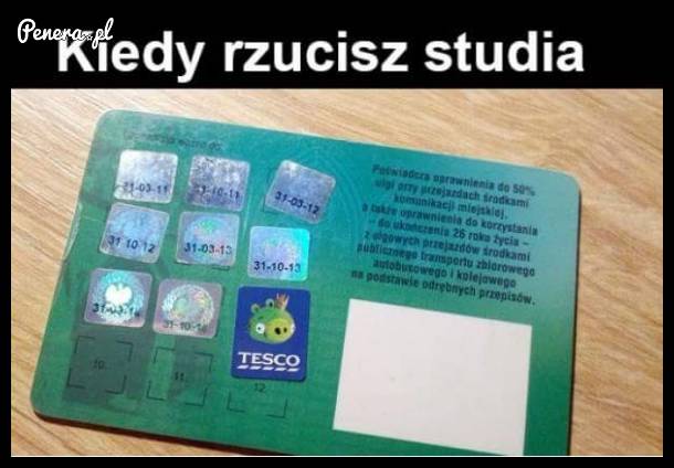 Kiedy rzucisz studia...
