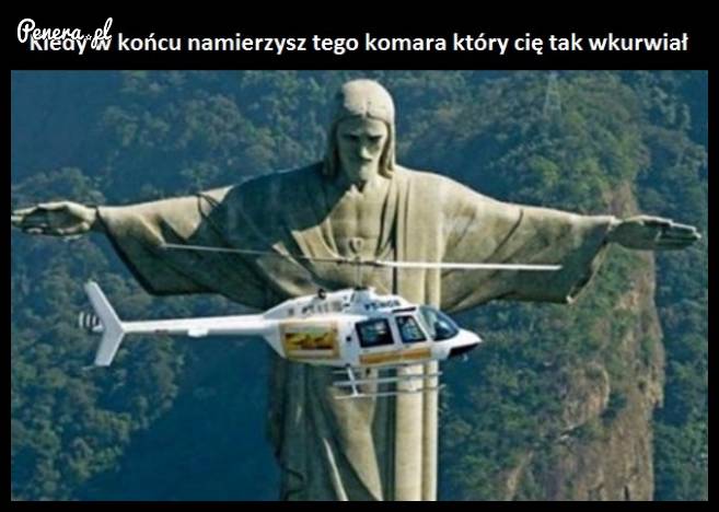 Kiedy w końcu namierzysz tego komara który Cię wkurzał