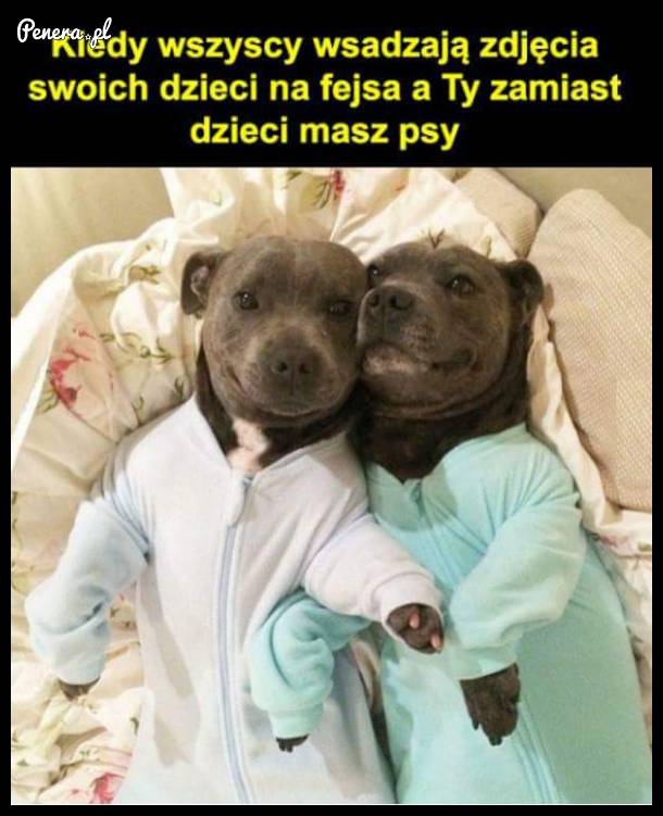 Kiedy wszyscy wsadzają zdjęcia swoich dzieci na fejsa