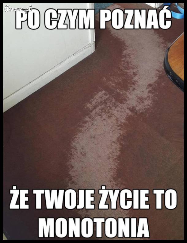 Masz strasznie monotonne życie?