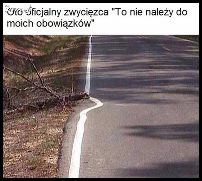 Największy leń jakiego widziałem