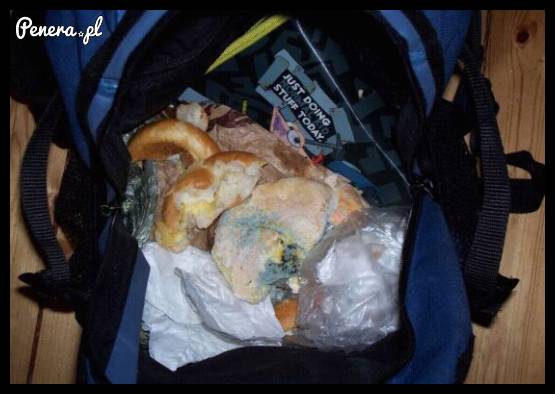 Otwórz swój plecak jeszcze dzisiaj