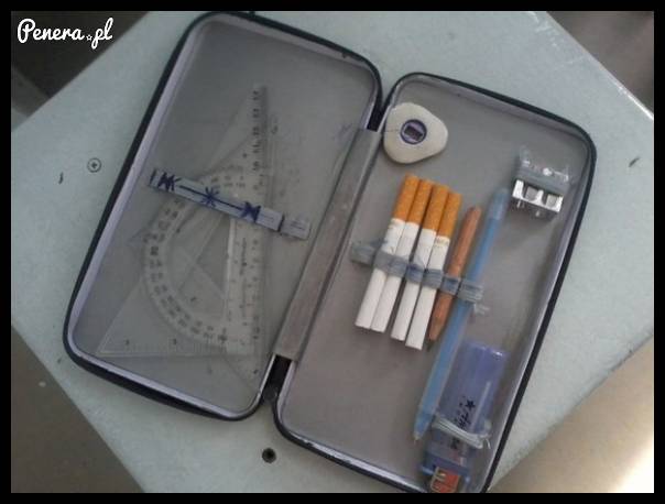 Piórnik współczesnej gimbazy