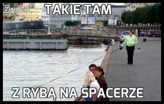 Ryby też trzeba czasem wypuścić