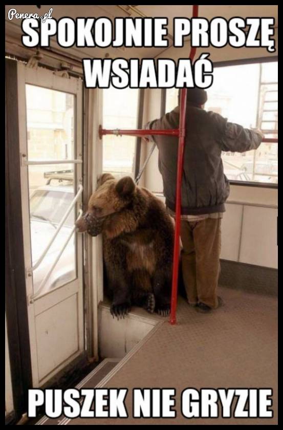 Spokojnie, Puszek nie gryzie
