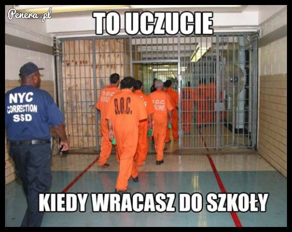To uczucie kiedy wracasz do szkoły