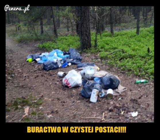 Trzeba być turbowieśniakiem