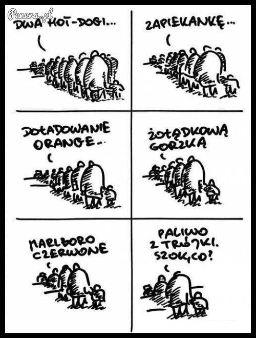 Tymczasem w kolejce...