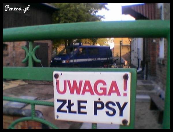 Uwaga złe psy!