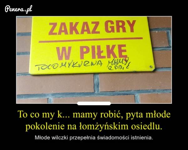 Zakaz gry w piłkę