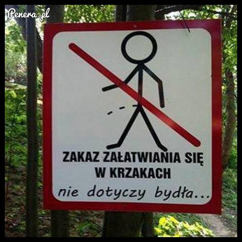 Zakaz szczania w krzakach