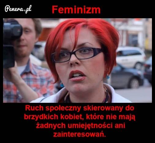 Co to jest feminizm