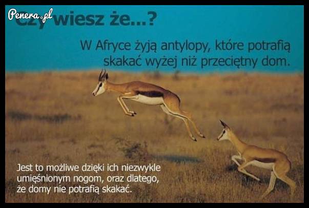 Czy wiesz że?