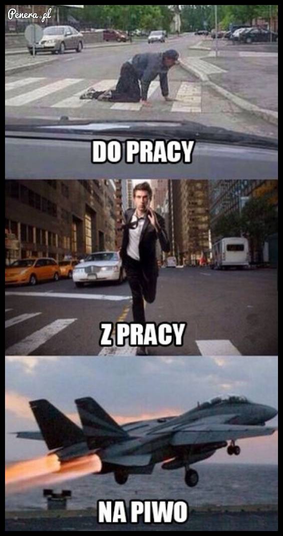 Do pracy, z pracy i na piwo