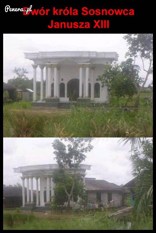 Dwór króla Sosnowca Janusza XIII