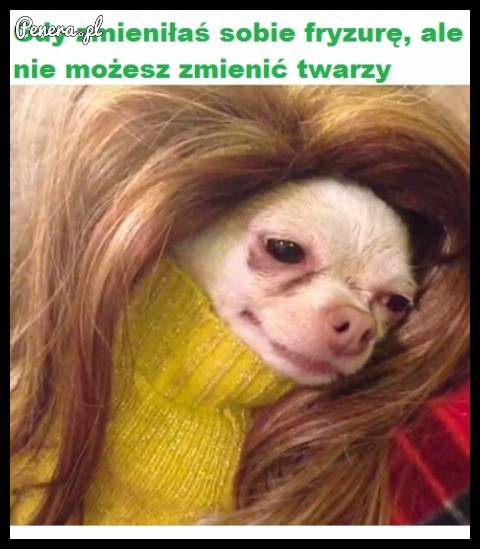 Gdy zmieniłaś sobie fryzurę