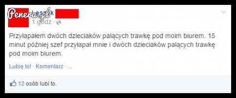 Kiedy przyłapiesz dzieciaki jarające trawe pod Twoim biurem