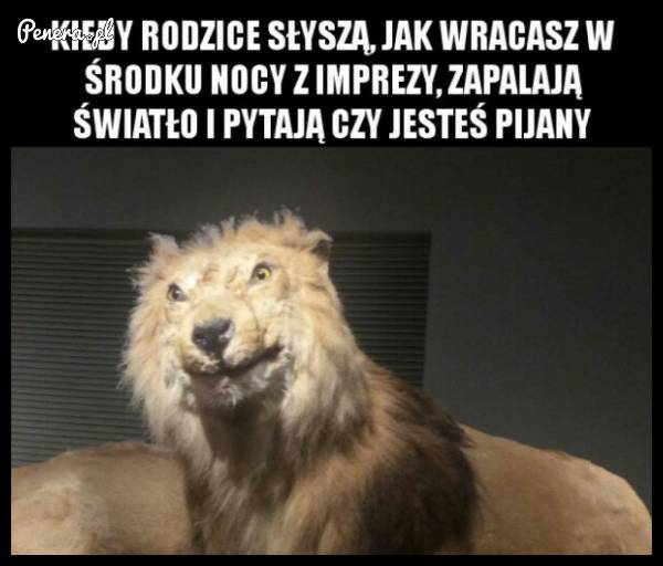 Kiedy rodzice słyszą jak wracasz w środku nocy z imprezy