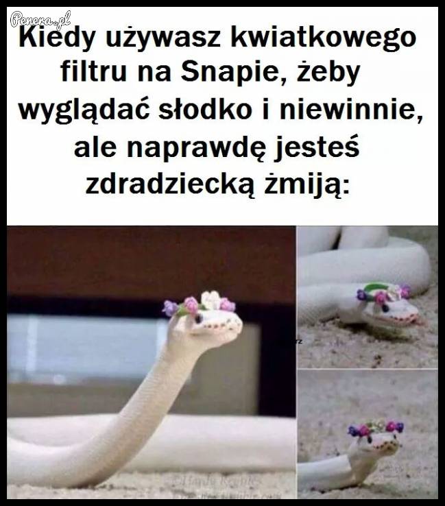 Kiedy używasz filtra na snapie