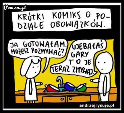 Krótki komiks o podziale obowiązków