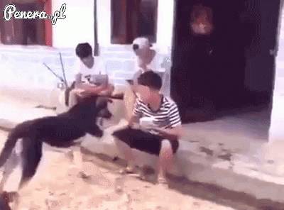 Masz tu piesku trochę wodu