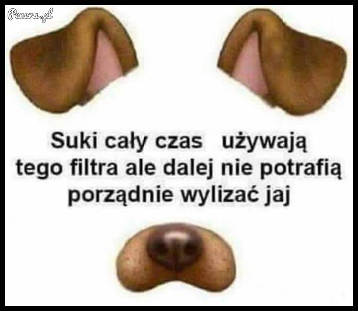 One ciągle używają tego filtra