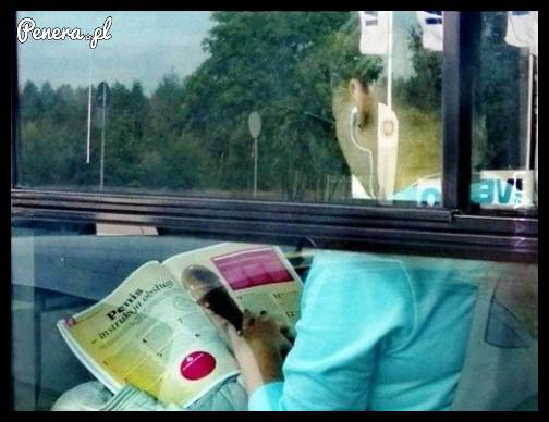 Postanowiła się trochę doszkolić