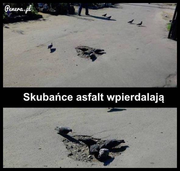 Skubańcy asfalt wpierdalają