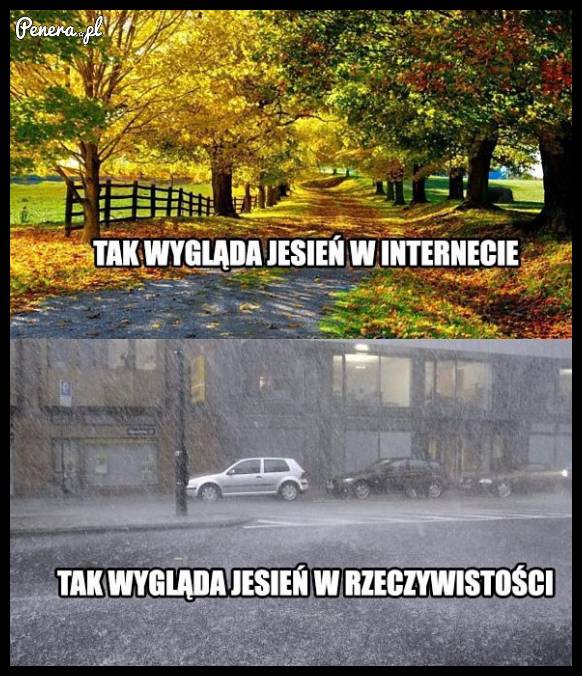 Tak wygląda jesień w internecie