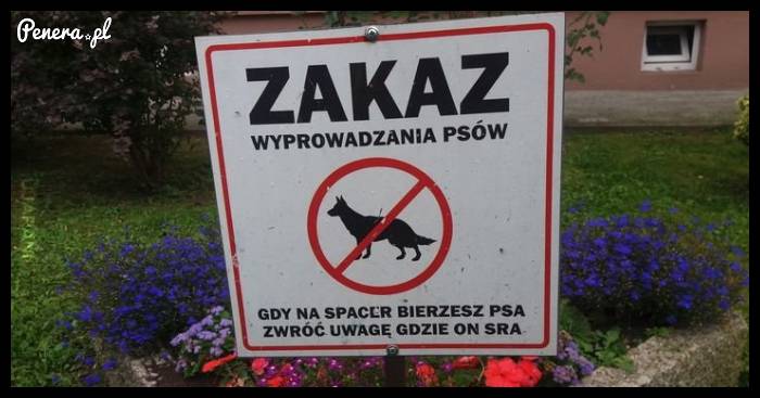 Taki zakaz wyprowadzania psów