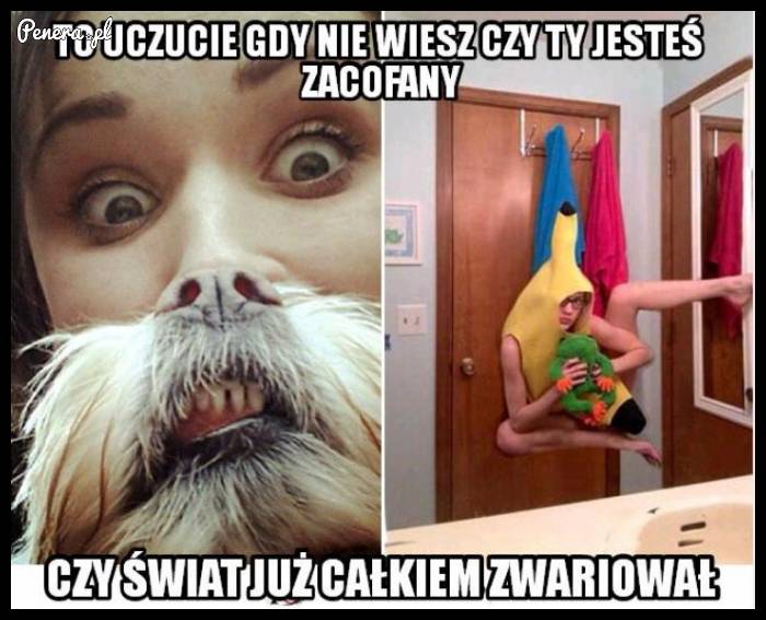 To uczucie gdy nie wiesz czy ty jesteś zacofany