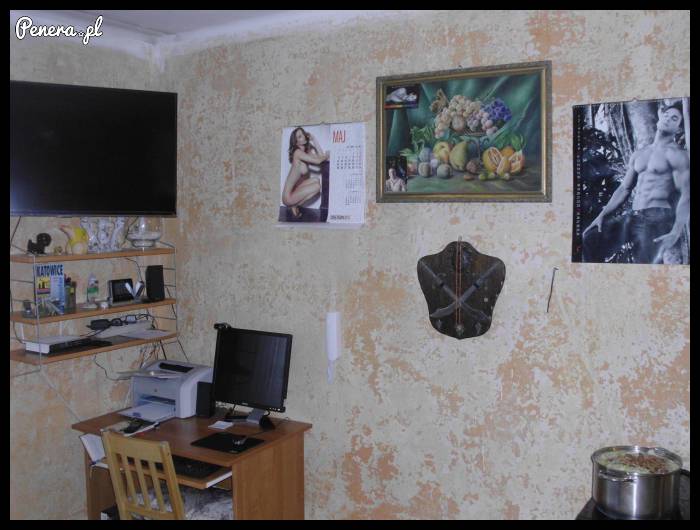 Z cyklu - Polskie domy