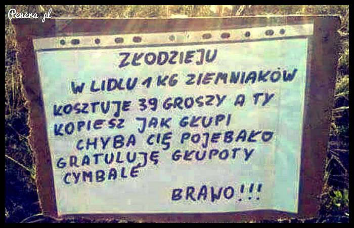 Złodziej zgarnął łup stulecia!