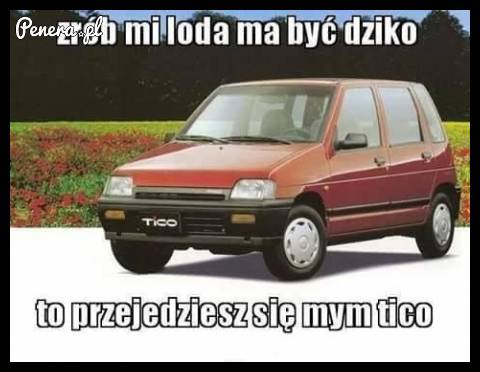 Zrób mi loda ma być dziko