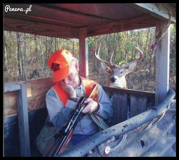 Dzień dobry, uszanowanko