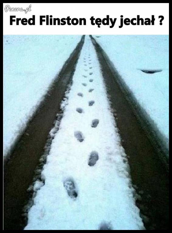 Fred Flinston tędy jechał?