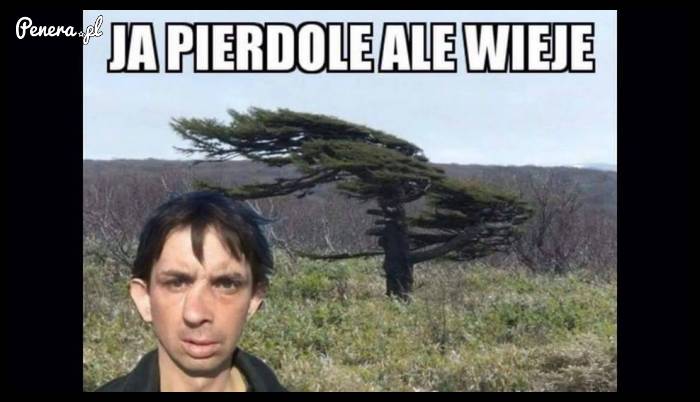 Ja P*erdolę jak wieje